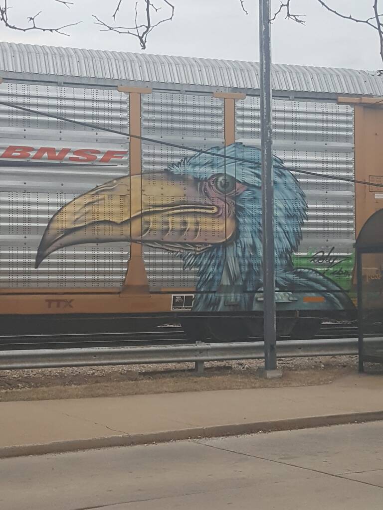 Bird on a train